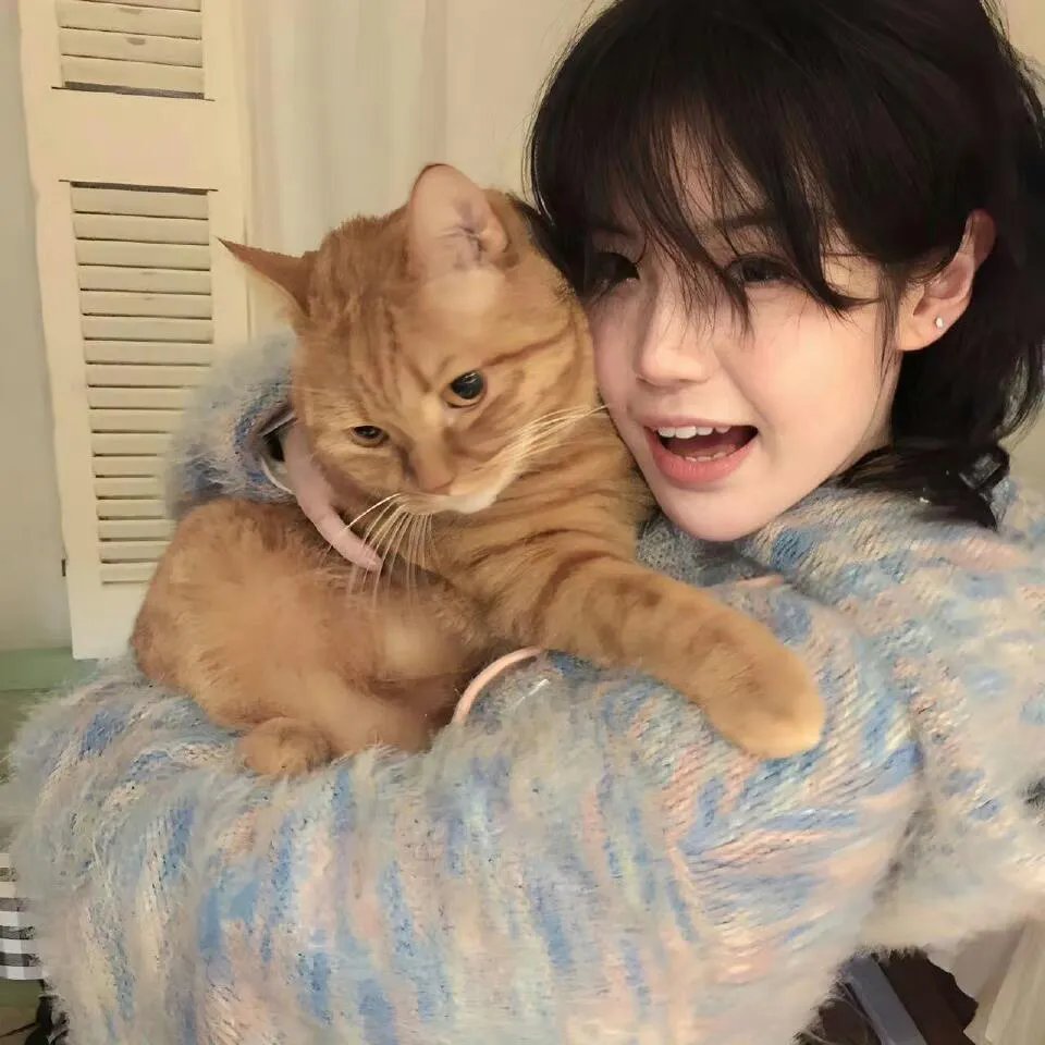 编制序曲:社区乐团的故事